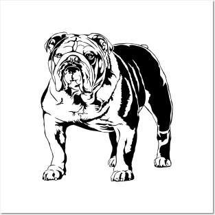 Funny Proud British Bulldog dog portrait Posters and Art